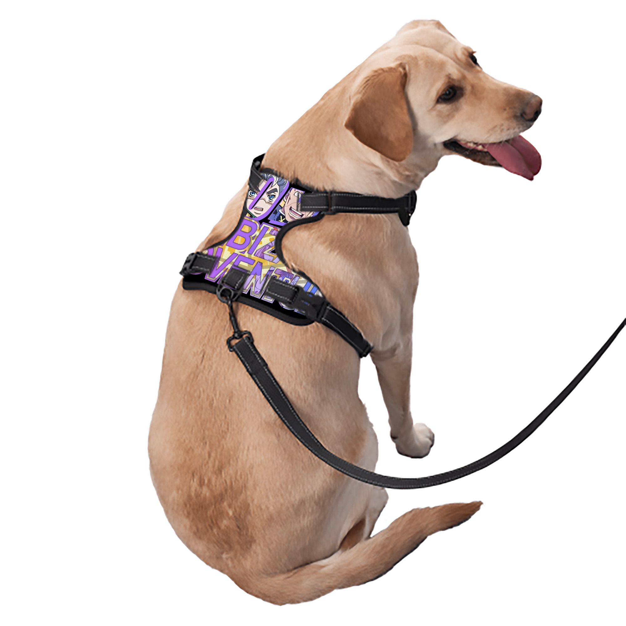 （画像用） ジョジョの奇妙な冒険 JoJo's Bizarre Adventure ペット用ハーネス